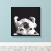 背中フランスのにブルドッグ キャンバスプリント (インサイチュ (ウッドフロア))