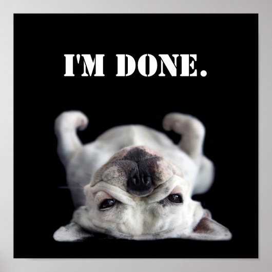 背中フランスのにブルドッグ ポスター (正面)