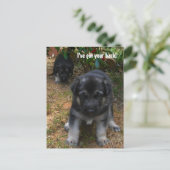 背中得を下ろせ！ドイツの羊飼い犬はがき ポストカード (スタンド正面)