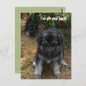 背中得を下ろせ！ドイツの羊飼い犬はがき ポストカード (正面/裏面)