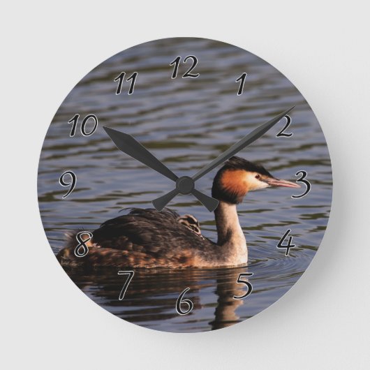 背中素晴らしにヒヨコのあるトキ ラウンド壁時計 (正面)