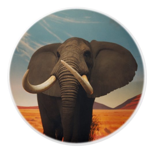 背威厳のある高 セラミックノブ (正面)