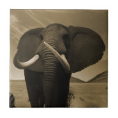 背威厳のある高 タイル (正面)