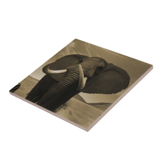 背威厳のある高 タイル (側面)