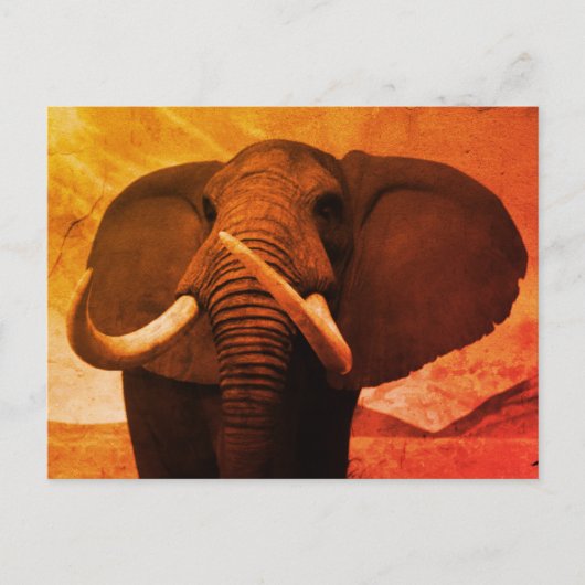 背威厳のある高 ポストカード (正面)