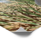 背後に氷河とセーリングヨット ポスター (角)