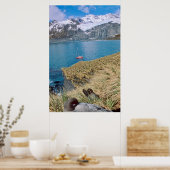 背後に氷河とセーリングヨット ポスター (キッチン)