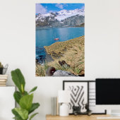 背後に氷河とセーリングヨット ポスター (ホームオフィス)