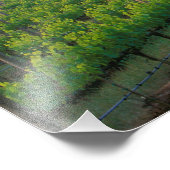 背後の遠くの霧の中の日の出の色 フォトプリント            (角)