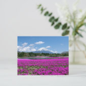 背景にピンクのコケと富士山 ポストカード (スタンド正面)