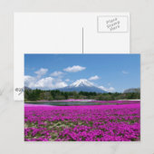 背景にピンクのコケと富士山 ポストカード (正面/裏面)