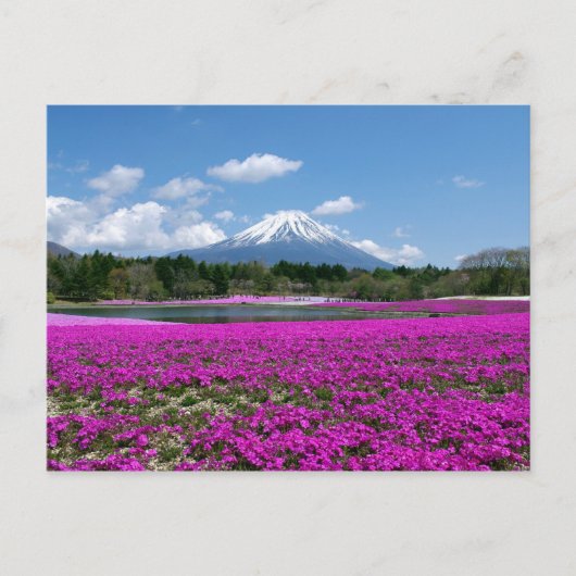 背景にピンクのコケと富士山 ポストカード (正面)