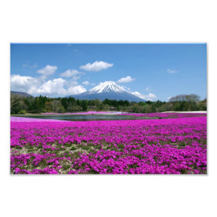 背景のピンクのコケそして富士山 フォトプリント