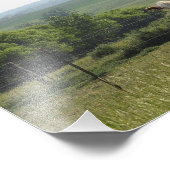 背景を持つ農場のかわいらし牛 フォトプリント            (角)