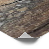 背景テクスチャ古い美しいツリー抽象型bac ポスター (角)