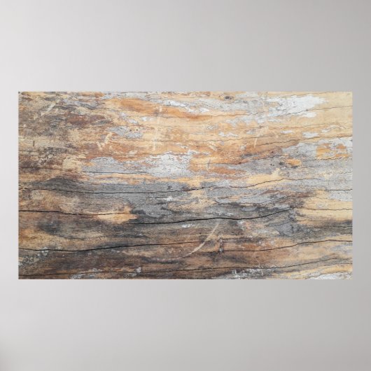 背景テクスチャ古い美しいツリー抽象型bac ポスター (正面)