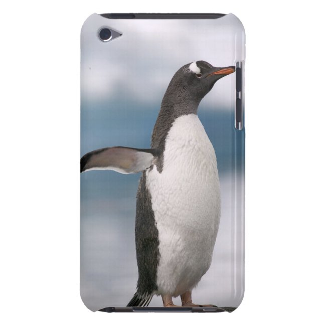 背景幕が付いている岩が多い海岸線のGentooのペンギン Case-Mate iPod Touch ケース (裏面)