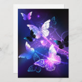 背景(蝶の夜) シーズンカード (正面/裏面)