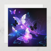 背景(蝶の夜) シーズンカード (正面/裏面)