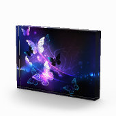 背景（蝶の夜） フォトブロック (右)