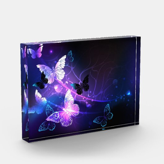 背景（蝶の夜） フォトブロック (左)