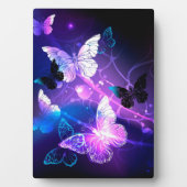 背景（蝶の夜） フォトプラーク (正面)