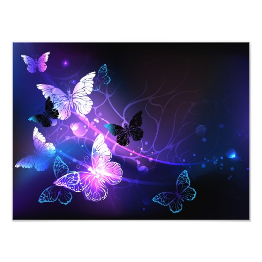 背景（蝶の夜） フォトプリント            (正面)