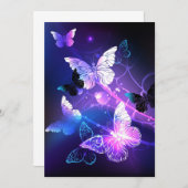 背景（蝶の夜） プログラム (正面/裏面)