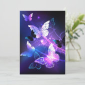 背景（蝶の夜） プログラム (スタンド正面)