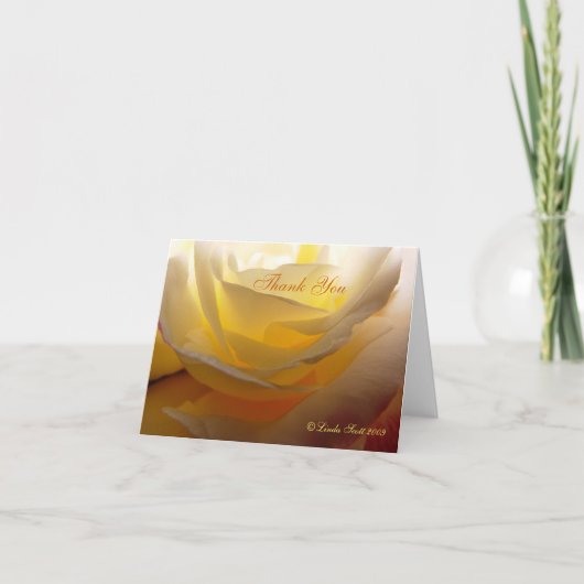 背部によってLindasDDのつけられるバラ、ありがとうデザイン サンキューカード (正面)