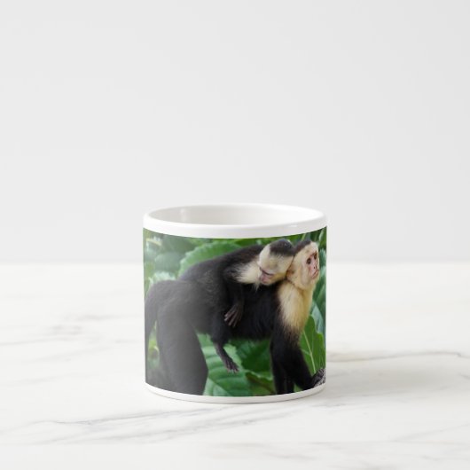 背部のベビーを運んでいる大人のCapuchin猿 エスプレッソカップ (正面)