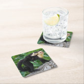 背部のベビーを運んでいる大人のCapuchin猿 スクエアペーパーコースター (インサイチュ)