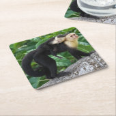 背部のベビーを運んでいる大人のCapuchin猿 スクエアペーパーコースター (アングル)