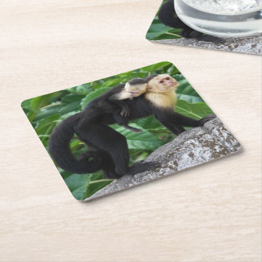 背部のベビーを運んでいる大人のCapuchin猿 スクエアペーパーコースター (アングル)