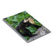 背部のベビーを運んでいる大人のCapuchin猿 ノートブック (右側)