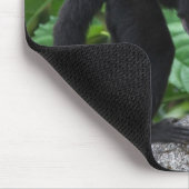 背部のベビーを運んでいる大人のCapuchin猿 マウスパッド (コーナー)