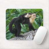 背部のベビーを運んでいる大人のCapuchin猿 マウスパッド (マウス)