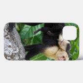 背部のベビーを運んでいる大人のCapuchin猿 Case-Mate iPhoneケース (裏面 (横))