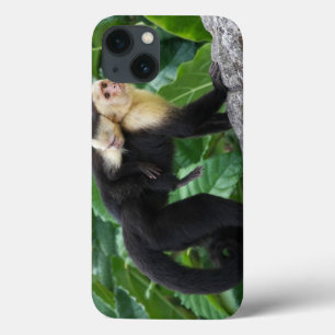 背部のベビーを運んでいる大人のCapuchin猿 iPhone 13ケース
