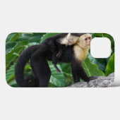 背部のベビーを運んでいる大人のCapuchin猿 Case-Mate iPhoneケース (裏面 (横))