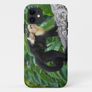 背部のベビーを運んでいる大人のCapuchin猿 iPhone 11 ケース