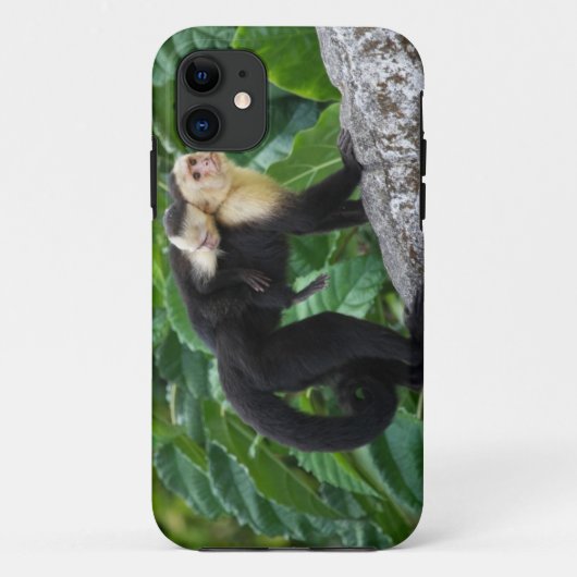 背部のベビーを運んでいる大人のCapuchin猿 Case-Mate iPhoneケース (裏面)