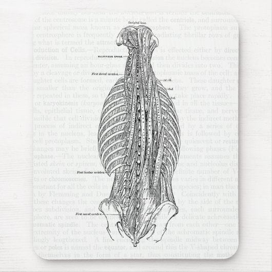 背部を引くヴィンテージの解剖学 マウスパッド (正面)