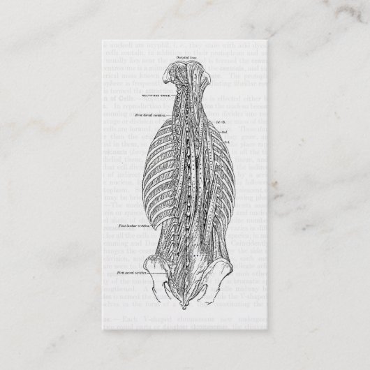 背部を引くヴィンテージの解剖学 名刺 (正面)