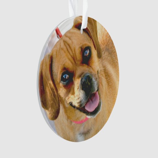 背部休日のオーナメントの写真そして文字を加えて下さい オーナメント (正面)