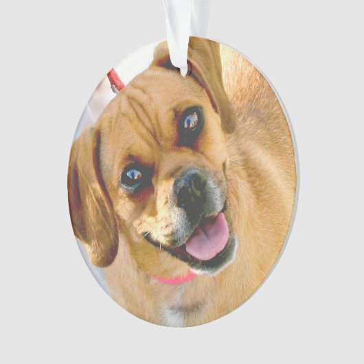 背部休日のオーナメントの写真そして文字を加えて下さい オーナメント (正面)