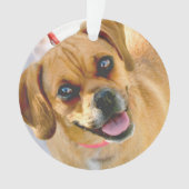 背部休日のオーナメントの写真そして文字を加えて下さい オーナメント (正面)