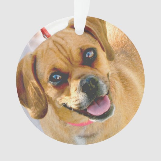 背部休日のオーナメントの写真そして文字を加えて下さい オーナメント (正面)