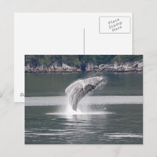 背部裂傷 ポストカード (正面/裏面)