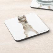 背部足に立っている子ネコ コースター (左側)